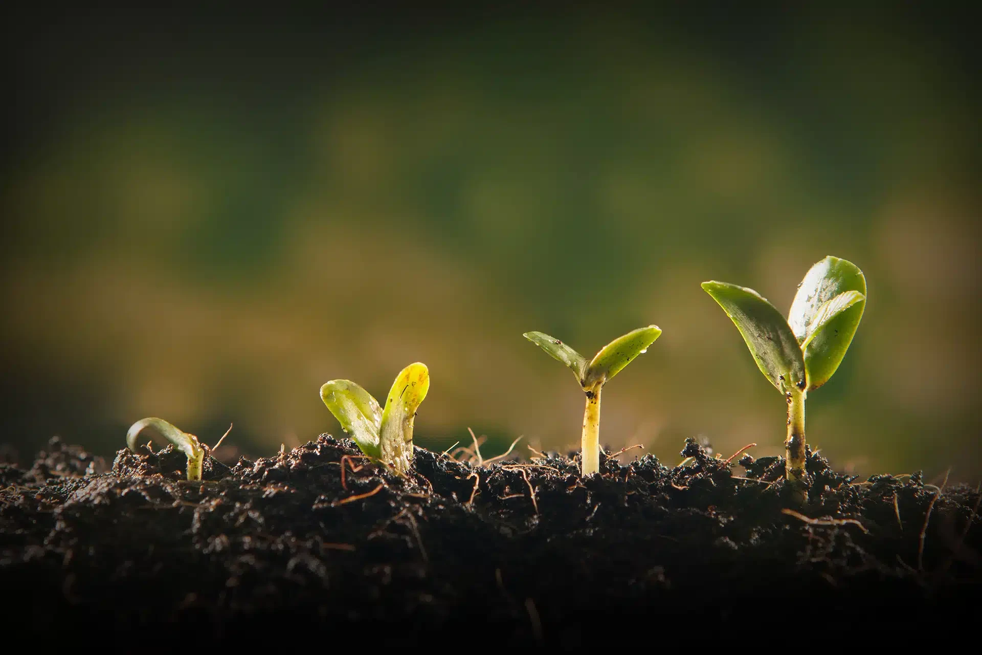 Sustaining-Peak-Performance-with-AIOps-for-Better-Business-Outcomes Sustaining-Peak-Performance-with-AIOps-for-Better-Business-Outcomes