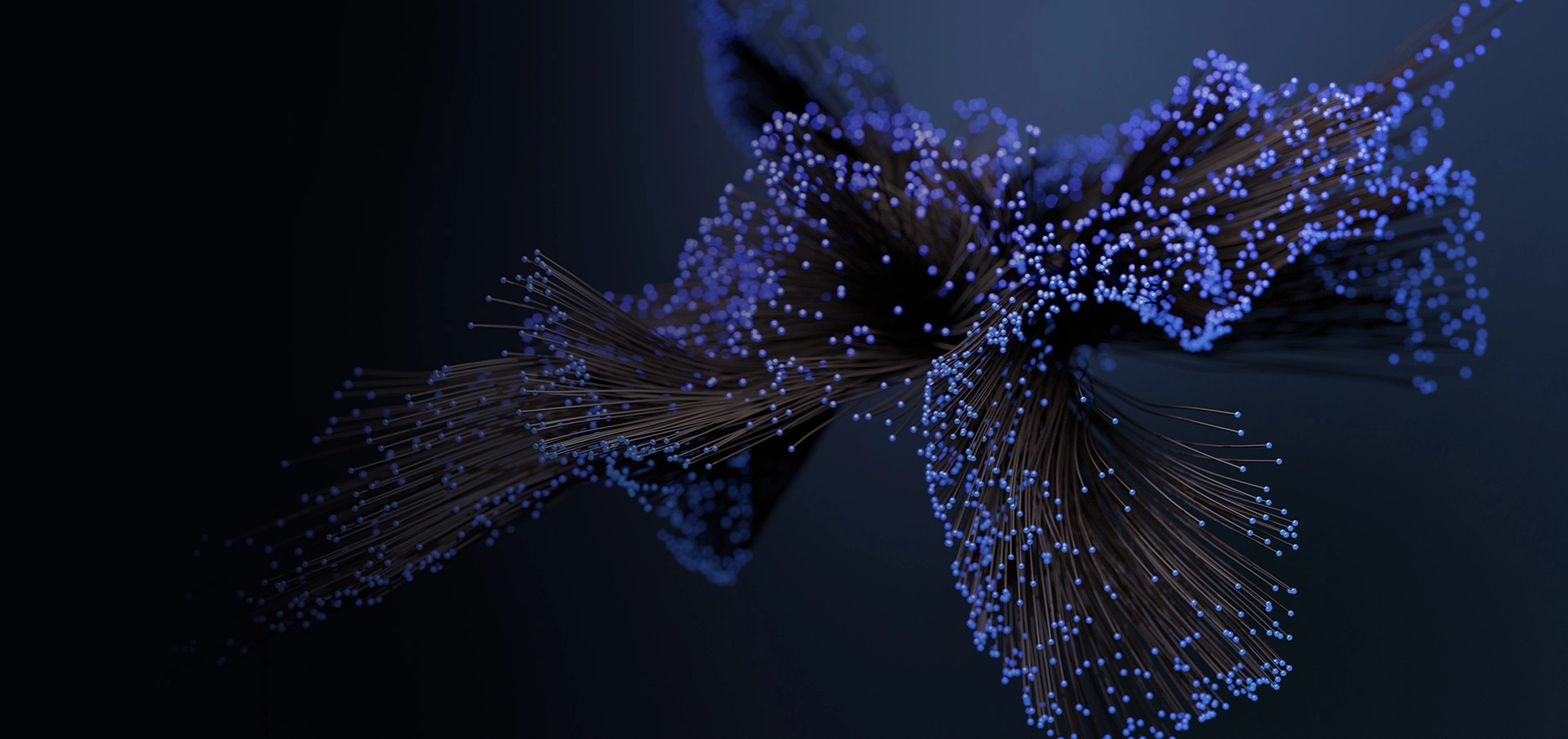 banner_img